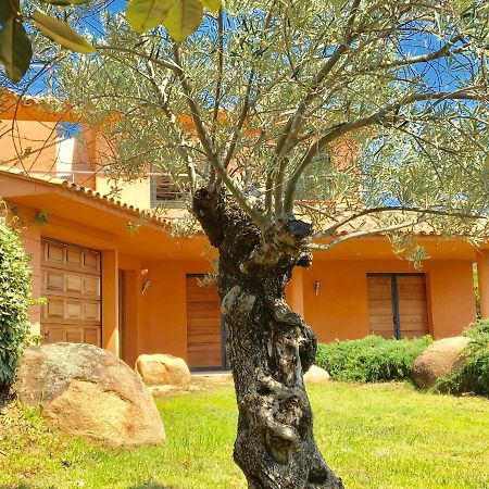 Villa Santa Giulia, Vue Panoramique Sur La Mer, 900 M De La Plage Porto-Vecchio (Corsica) Exterior foto